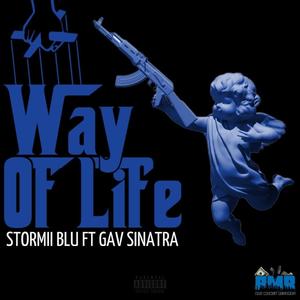 Way Of Life (feat. Gav Sinatra) (Explicit)
