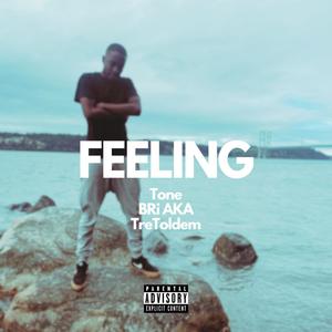 Feeling (feat. BRi AKA & TreToldEm) [Explicit]