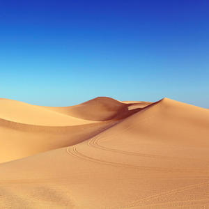 Sahara