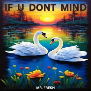 if u dont mind