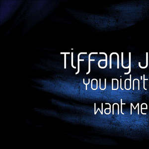 You Didn't Want Me (Explicit)