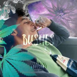 Bushes (Explicit)