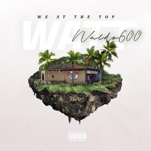 Bonus:BlvdTwizz Future star