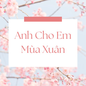 Xuân Này Con Không Về