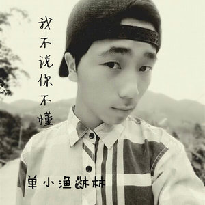 单小渔 - 我不说你不懂