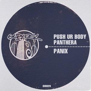 Push Ur Body / Panthera