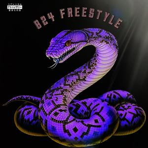 824 Freestyle (No Assist) (Explicit)
