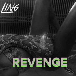 Revenge (Explicit)