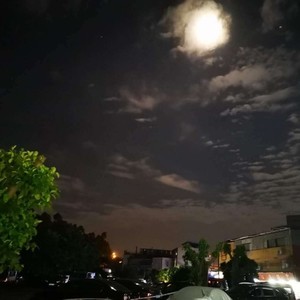 make you feel my love