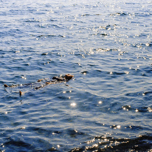 Pink Ocean (feat. 은림)