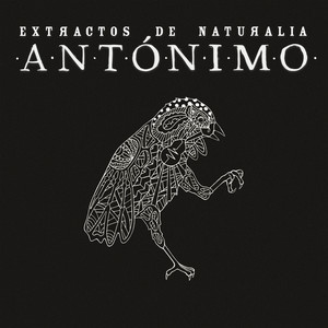 Antónimo - Bipolar