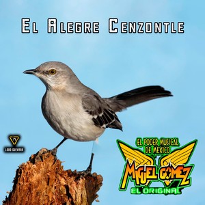 El Alegre Cenzontle
