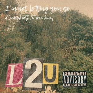 I'm Not Letting You Go (feat. Drex Bluey) [Explicit]