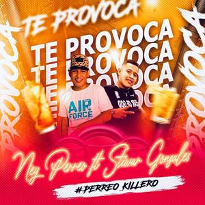 Te Provoca Ney perreo (feat. Ney Perreo & Stiwar Gonzales)