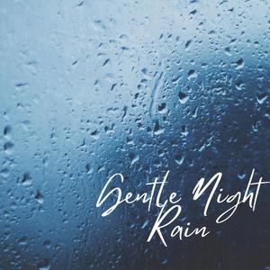 Gentle Night Rain