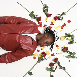 Lil Freak Song (Explicit)