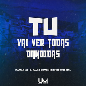 Tu Vai Ve Todas Bandidas (Explicit)