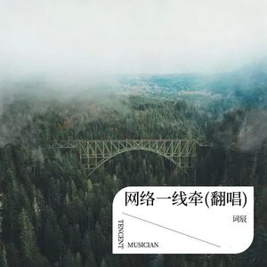 网络一线牵 (Live)