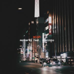 wish (feat. ItsNikko)