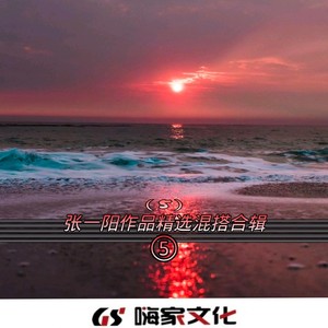朋友的酒 (Remix)