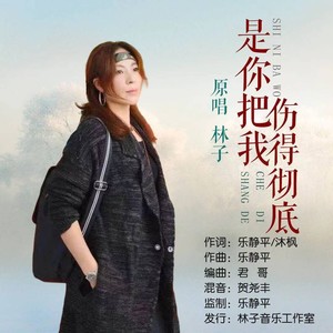 是你把我伤得彻底