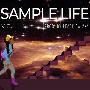 Sample Life, Vol. 1