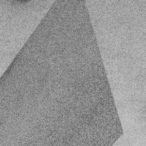 birds birds birds (falling version)