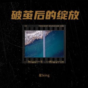 破茧后的绽放