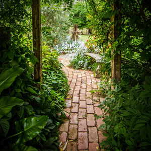 Garden Path