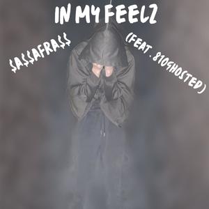 In My Feelz (feat. 810 ghosted) (Explicit)