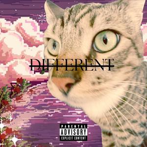 Diff3r3nt (feat. EDAC) (Explicit)