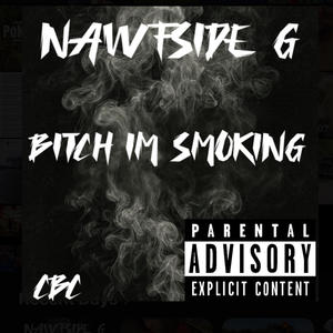 Bitch Im Smoking (Explicit)
