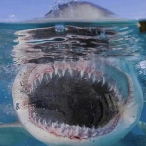 Sailor Mouth (Explicit)