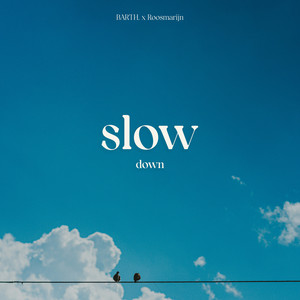 slow down