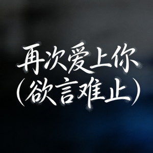再次爱上你 (欲言难止)封面