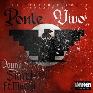 PONTE VIVO (Explicit)