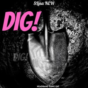 DIG (Explicit)