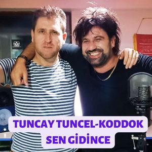 Sen Gidince