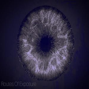 Routes Of Exposure