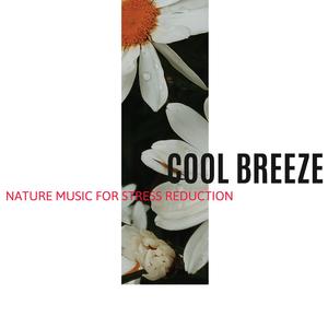 Birds and Breeze