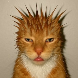 Mona Lisa (feat. asamura) (Explicit)