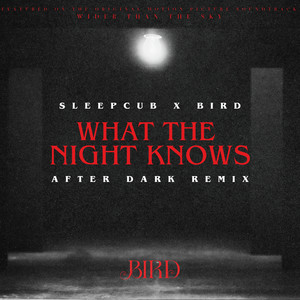 What The Night Knows (After Dark Remix)