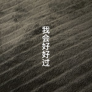 我会好好过