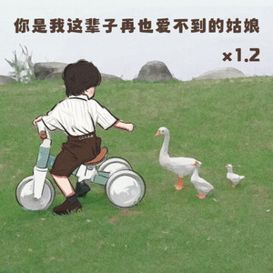 你是我这辈子再也爱不到的姑娘 (1.2加速版)