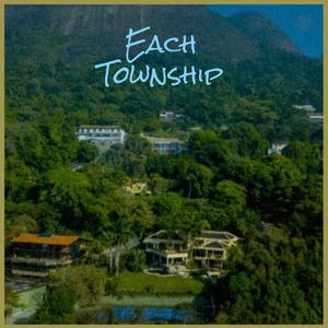 Each Township