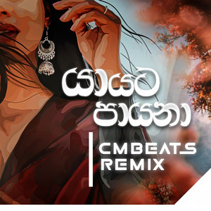 Yaayata Paayana (CMBeats Remix)