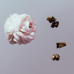 Guns N Roses (feat. Kazakii) (Explicit)