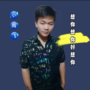 想你想你好想你 (DJ版)