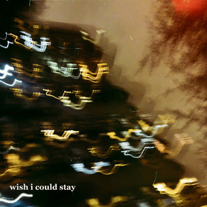 Wish I Could Stay