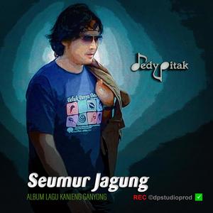 Seumur Jagung (feat. @dpstudioprod, Musisi Cilacap, Kanjeng Ganyong, Dut Campursari, Dangdut Jawa, Lagu Jawa, Penginyongan, Jawa Ngapak, DEDY PITAK STUDIO & REC ©dpstudioprod)